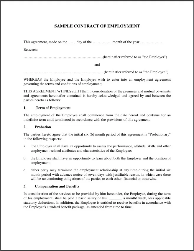 Employment Agreement Template (General Purpose) 4