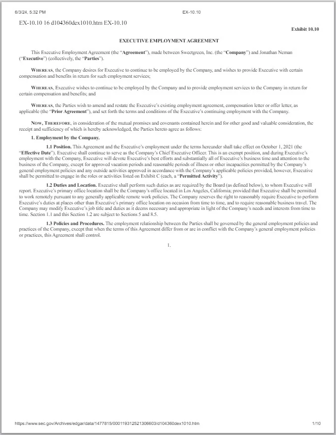 Employment Agreement Template (for an Executive Position) 3